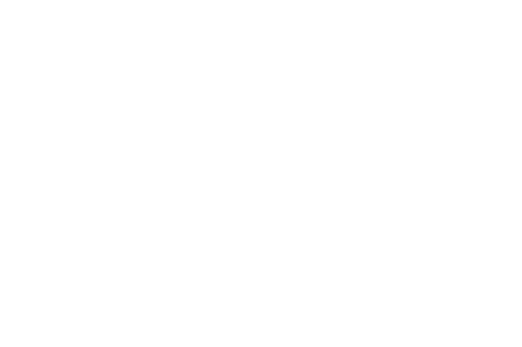 /projects/adaliz/para.png